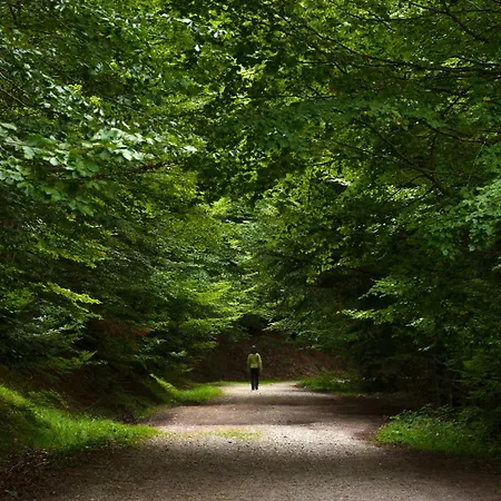 Tenaesqui Ii By Bevalle Appartement Escarrilla